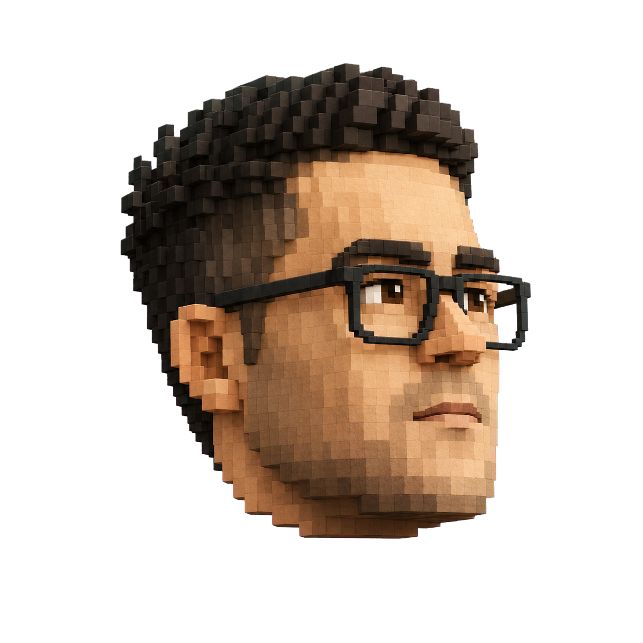 Block-style portrait of Luis Saavedra